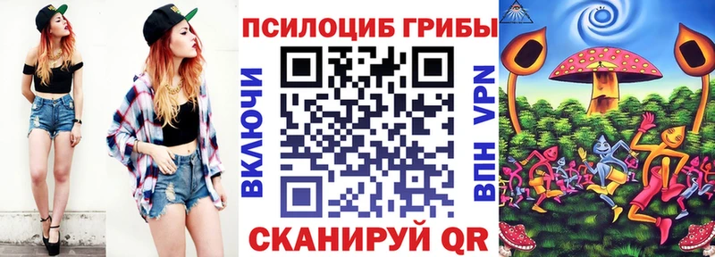 Галлюциногенные грибы Psilocybe  где купить   Чёрмоз 